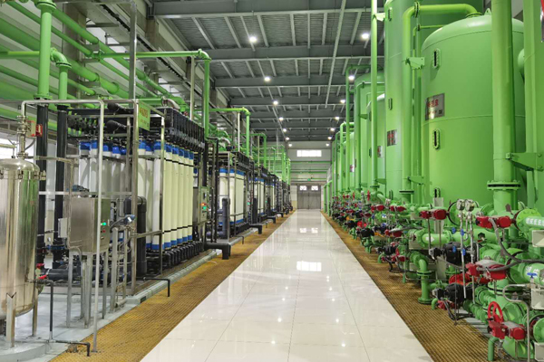 醉美金秋，捷報頻傳